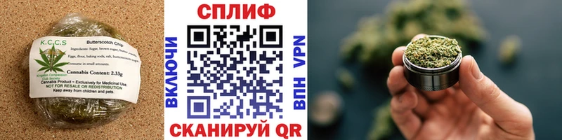Купить закладки  Приволжск  Еда ТГК конопля 