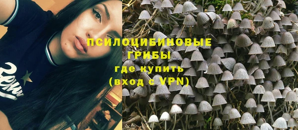 амф Мегион
