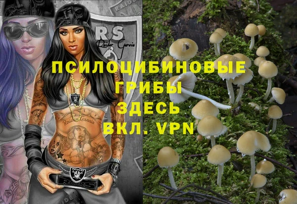 jwh Медвежьегорск