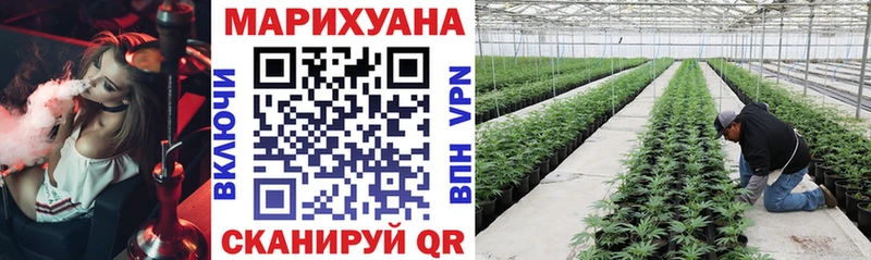 Купить  Приволжск  Канабис AK-47 